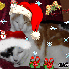 ♥{Concours de Noel 2008 à v