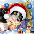 ♥{Concours de Noel 2008 à v