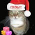 }♥{astro Noel 2008,decembre 