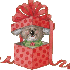 ♥{Test de Noel , astro cadea