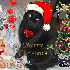 ♥{Joyeux Noel*Résultats Con