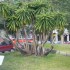 ♥{Andora Italie photos et vi