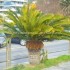 ♥{Andora Italie photos et vi