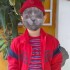 ♥{site pour faire des photos