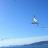 ♥{Italie San Bartolomeo et C