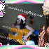 ♥{site photo montage en lign