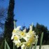 ♥{Doux weekend}♥