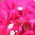 ♥{Doux weekend}♥