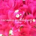 ♥{Doux weekend}♥