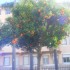 ♥{Italie: Diano Marina}♥