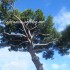 ♥{Italie: Diano Marina}♥