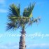 ♥{Italie: Diano Marina}♥