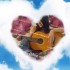 ♥{Image st Valentin à perso