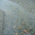 ♥{Italie Ceriale : photos et