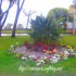 ♥{Italie Ceriale : photos et