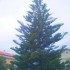 ♥{Italie Ceriale : photos et