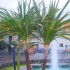♥{Italie Ceriale : photos et