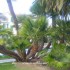 ♥{ Loano: Italie, photos et 