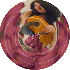 ♥{site de montage photo cré