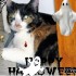 ♠{CONCOURS HALLOWEEN 2008 OU