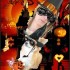 ♠{CONCOURS HALLOWEEN 2008 OU