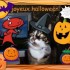 ♣♦☻{Concours Halloween 2