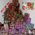 ♫{Concours de Noël 2009 à 