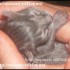 ♥{Evolution chatons: La Nais