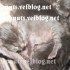 ♥{Evolution chatons: de 1 jo