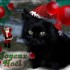 ★{Concours De NOËL  2011 }