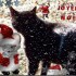 ★{Concours De NOËL  2011 }