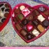 ♥{Joyeuse Saint Valentin: LI