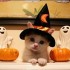 ☻♠{Liens Halloween 2012}