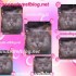 ♥{site photo montage en ligne morphing }