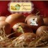 ♥{Concours de Pâques 2010}♥