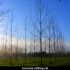 ♥{Marmande photo et vidéos}♥