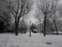 Comme à Narnia!