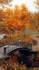 SARDANES DU 5 AU 11 OCTOBRE