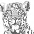 Dessin animalier