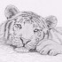 Dessin animalier