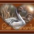 LES CANARDS