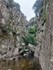 2025-06-05 Salt del Fito