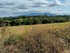 2026.10.1 FOURQUES le Sentier des Histoi