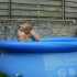vive le soleil