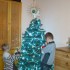 montage du sapin en famille