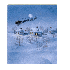 Noël déjà passée