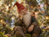La vie des petits lutins de la forêt