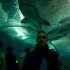 Aquarium de Pudong