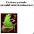 Les histoires de grenouilles