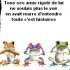 Les histoires de grenouilles